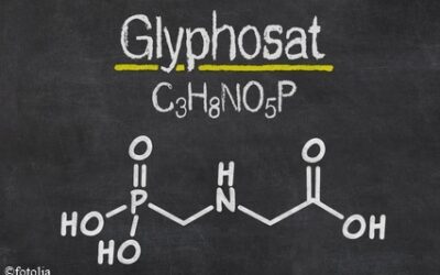 Glyphosat – Auswirkungen auf Gesundheit und Umwelt