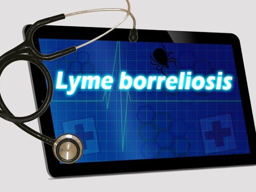 Borreliose und die Behandlung in der ganzheitlichen Therapie