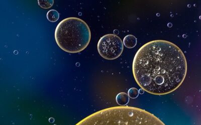 Mitochondrien-Therapie – Hilfe für die kleinen Kraftwerke der Körperzellen