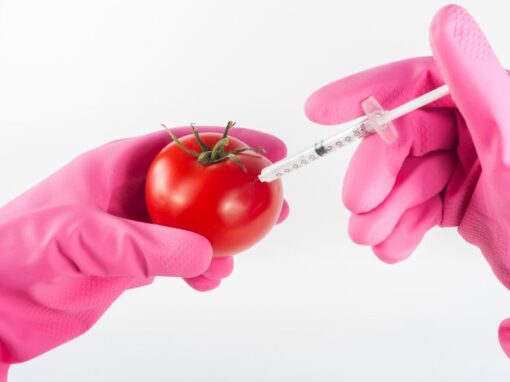 Was unsere DNA mit unserer Gesundheit zu tun hat