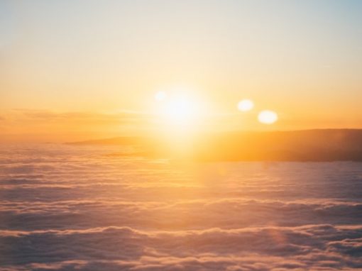Vitamin D bei Krebs – mehr als sein Geld wert!