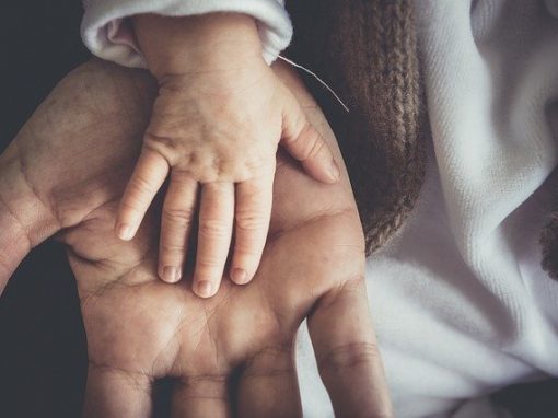 Molekulare Diagnose mitochondrialer Defekte