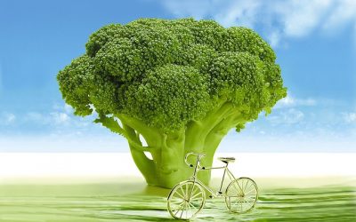 Brokkoli zeigt großes Gesundheits-Potential