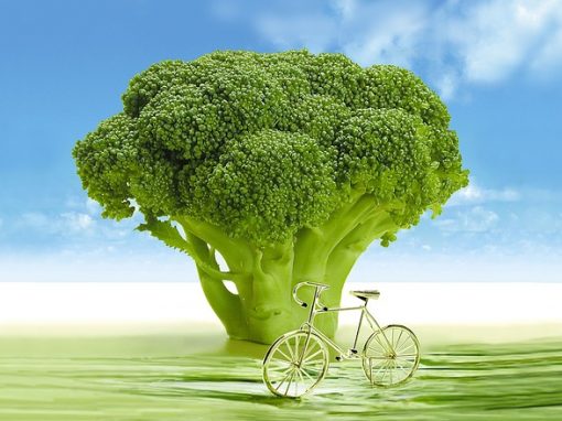 Brokkoli zeigt großes Gesundheits-Potential