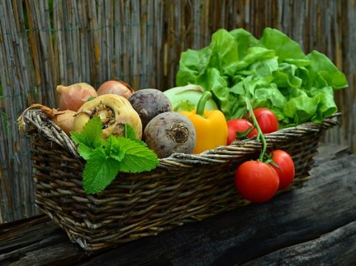 Der Zusammenhang zwischen hochverarbeiteten Lebensmitteln und kognitivem Verfall