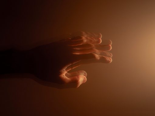 Wissenschaftliche Untersuchungen zeigen, dass die Parkinson-Krankheit ihren Ursprung im Darm hat
