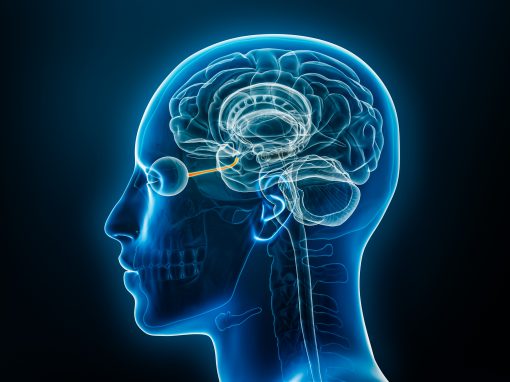Was sind die besten Nährstoffe für<br>Ihre Augen und Ihr Gehirn?